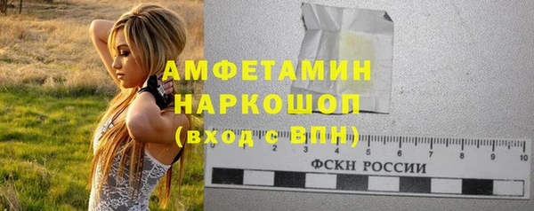 ГАЛЛЮЦИНОГЕННЫЕ ГРИБЫ Богданович